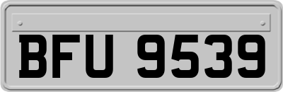 BFU9539