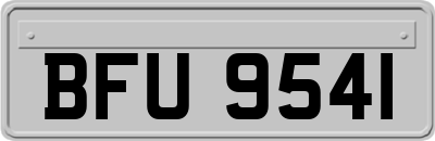 BFU9541