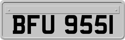 BFU9551