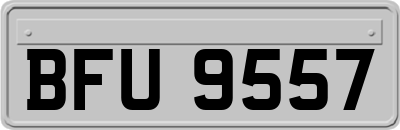 BFU9557