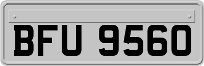 BFU9560