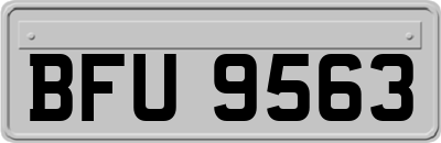 BFU9563