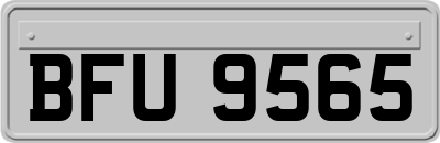 BFU9565