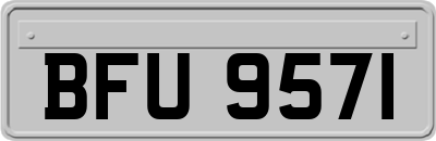 BFU9571