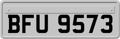 BFU9573