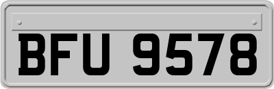 BFU9578