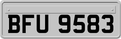 BFU9583