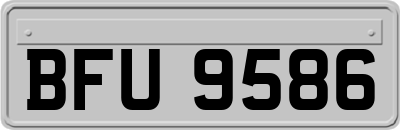 BFU9586