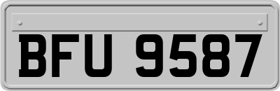 BFU9587