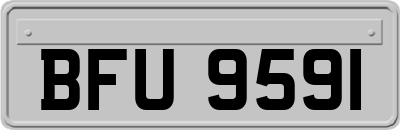BFU9591