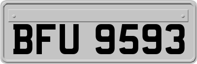 BFU9593