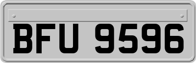 BFU9596