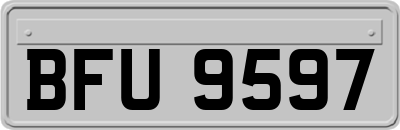 BFU9597