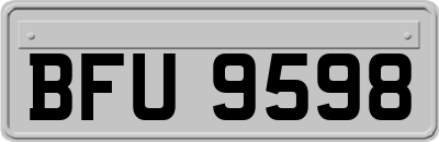 BFU9598