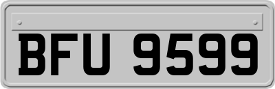 BFU9599