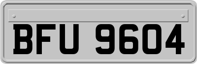 BFU9604