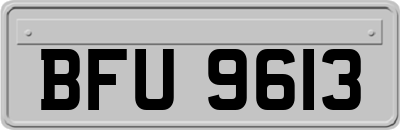 BFU9613