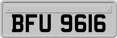BFU9616