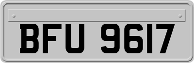 BFU9617