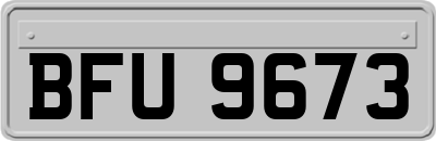 BFU9673