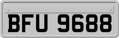 BFU9688