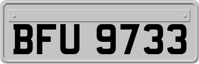 BFU9733