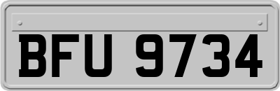 BFU9734