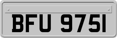 BFU9751