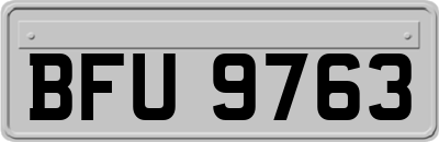 BFU9763