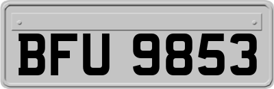 BFU9853
