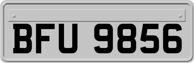 BFU9856