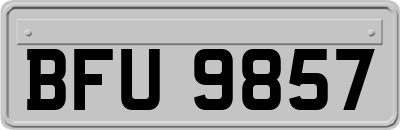 BFU9857