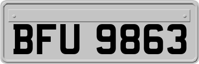 BFU9863