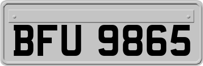 BFU9865