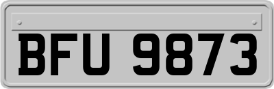 BFU9873