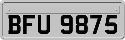 BFU9875