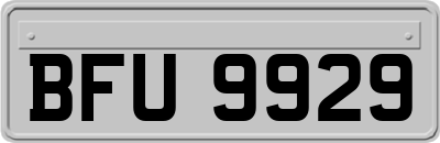 BFU9929