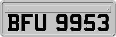 BFU9953