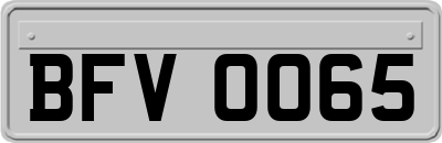 BFV0065