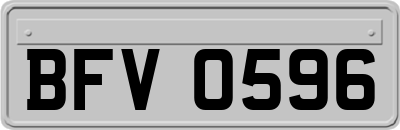 BFV0596