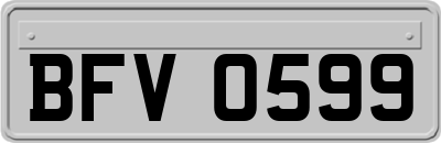 BFV0599