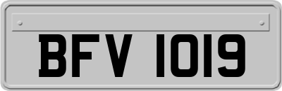 BFV1019