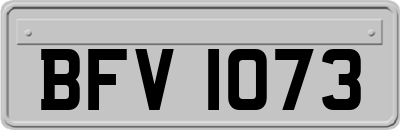 BFV1073