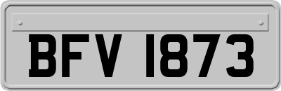 BFV1873