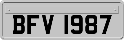 BFV1987