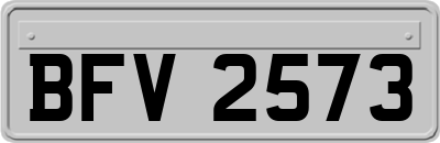 BFV2573