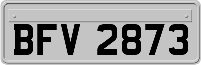 BFV2873