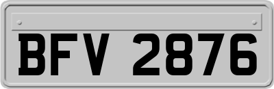 BFV2876