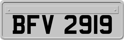 BFV2919
