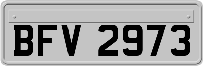 BFV2973